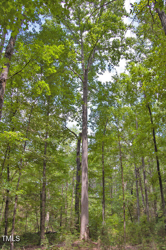 507 Agpark Road Pittsboro, NC 27312 - Photo 21 of 34 DSC_0424