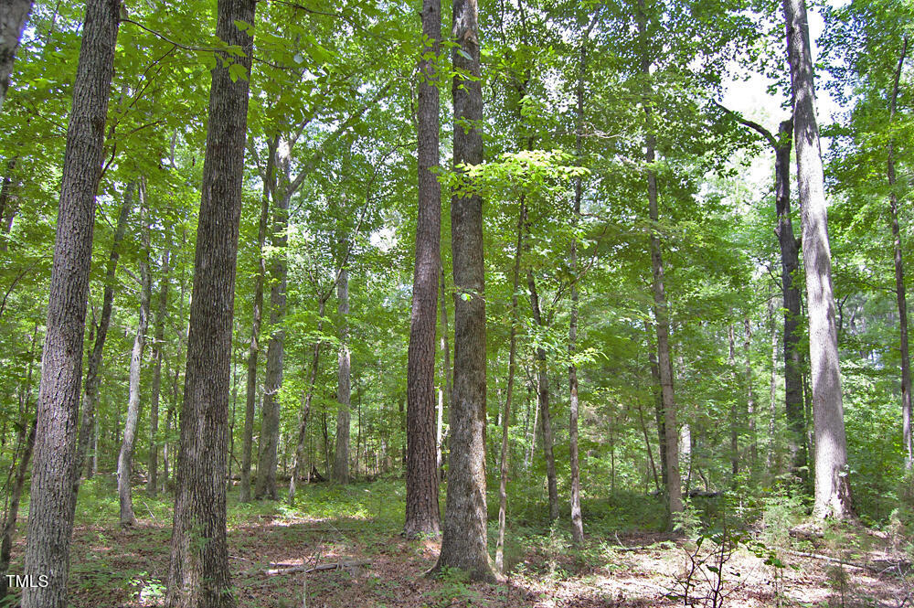 507 Agpark Road Pittsboro, NC 27312 - Photo 22 of 34 DSC_0425