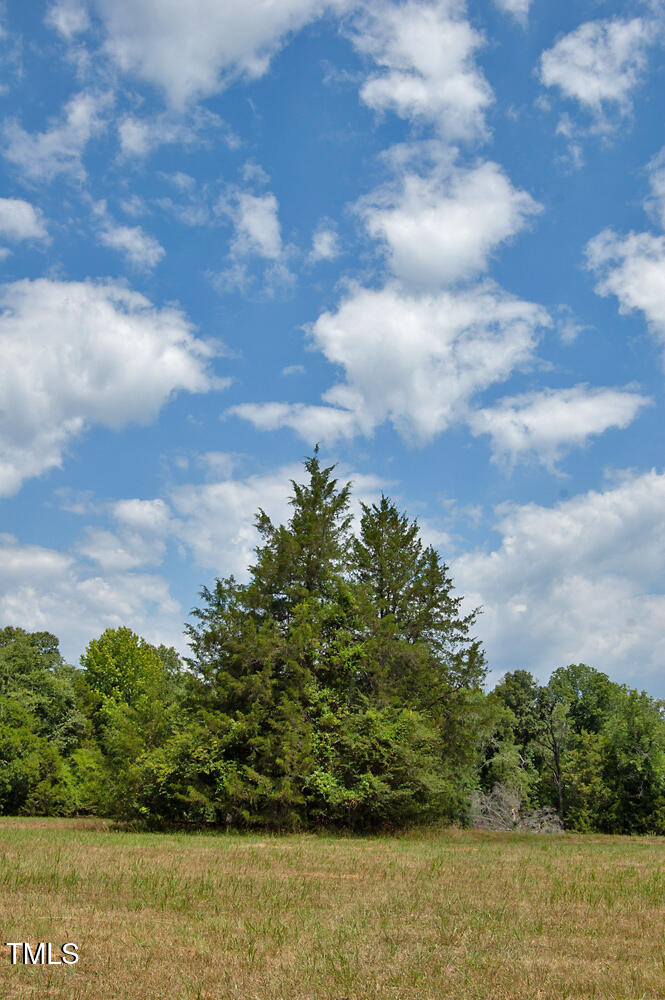 507 Agpark Road Pittsboro, NC 27312 - Photo 23 of 34 DSC_0426