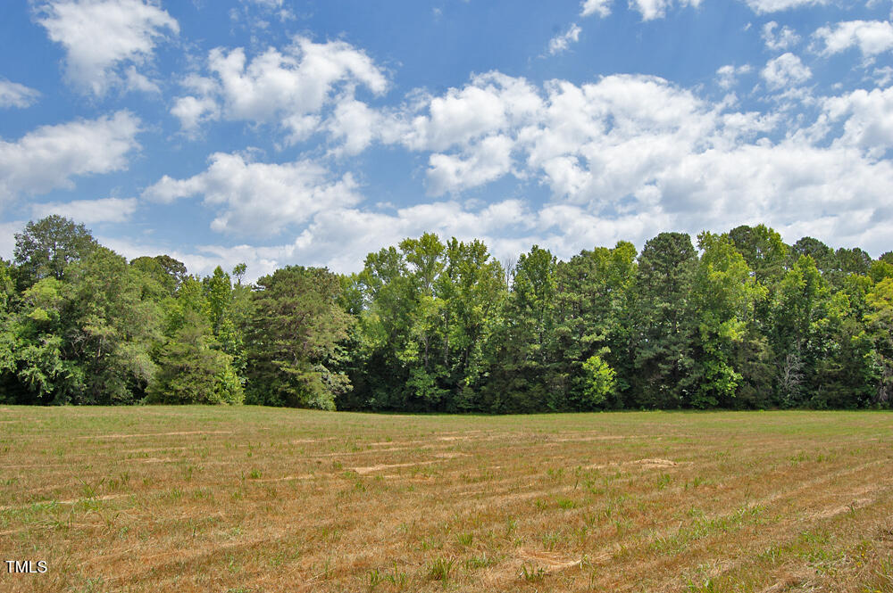 507 Agpark Road Pittsboro, NC 27312 - Photo 32 of 34 DSC_0435