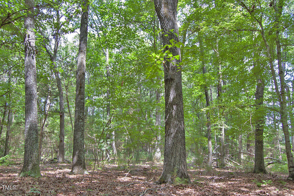 507 Agpark Road Pittsboro, NC 27312 - Photo 4 of 34 DSC_0417