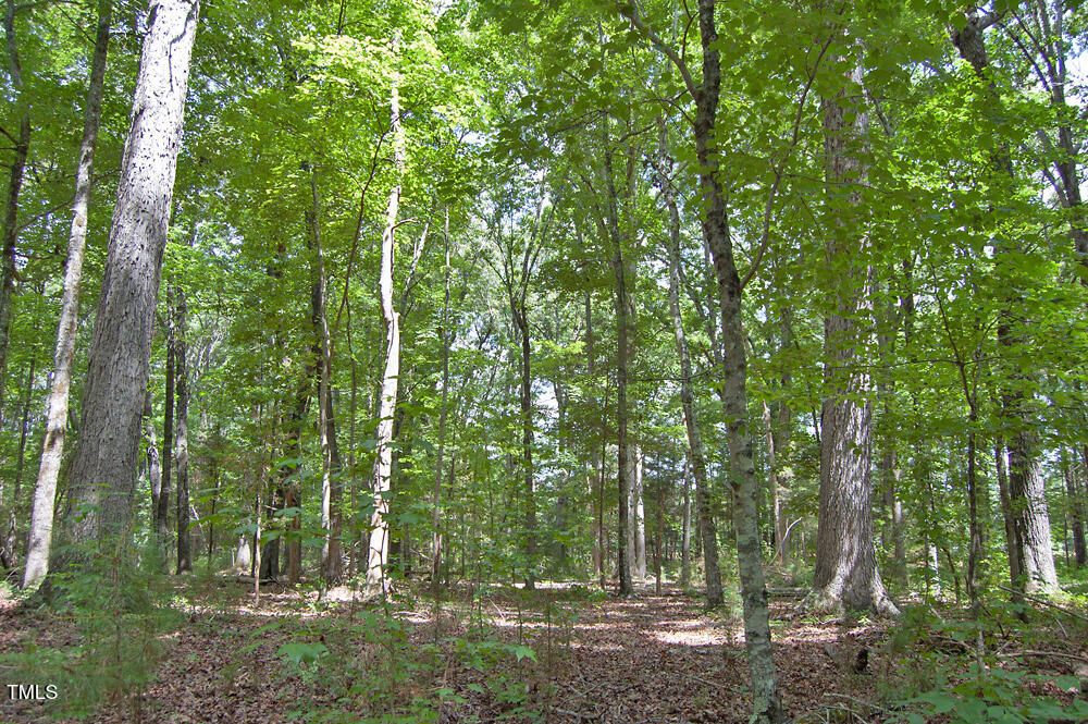507 Agpark Road Pittsboro, NC 27312 - Photo 8 of 34 DSC_0419