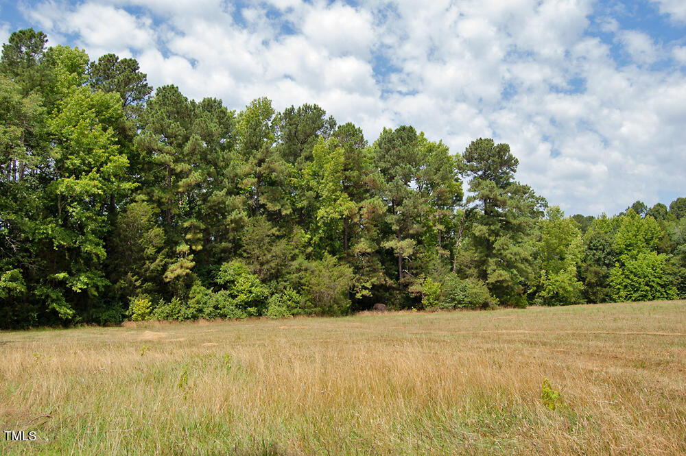 507 Agpark Road Pittsboro, NC 27312 - Photo 9 of 34 DSC_0411