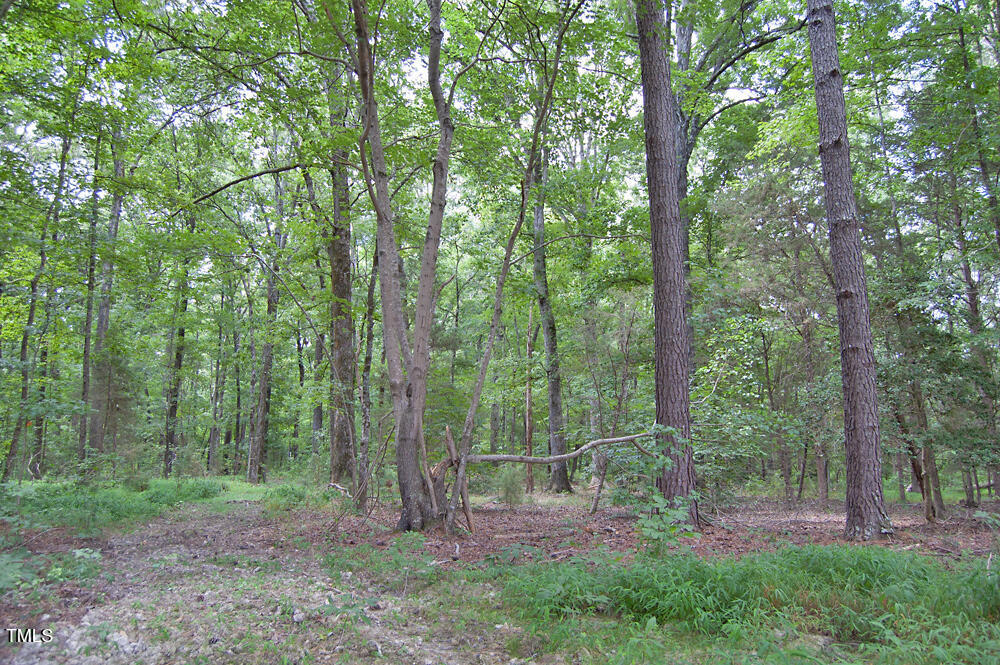 507 Agpark Road Pittsboro, NC 27312 - Photo 10 of 34 DSC_0412