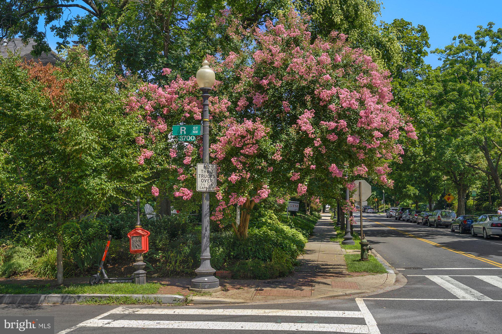 3702 R Street Northwest Washington, DC 20007 - Photo 30 of 32 Corner of 37th & R