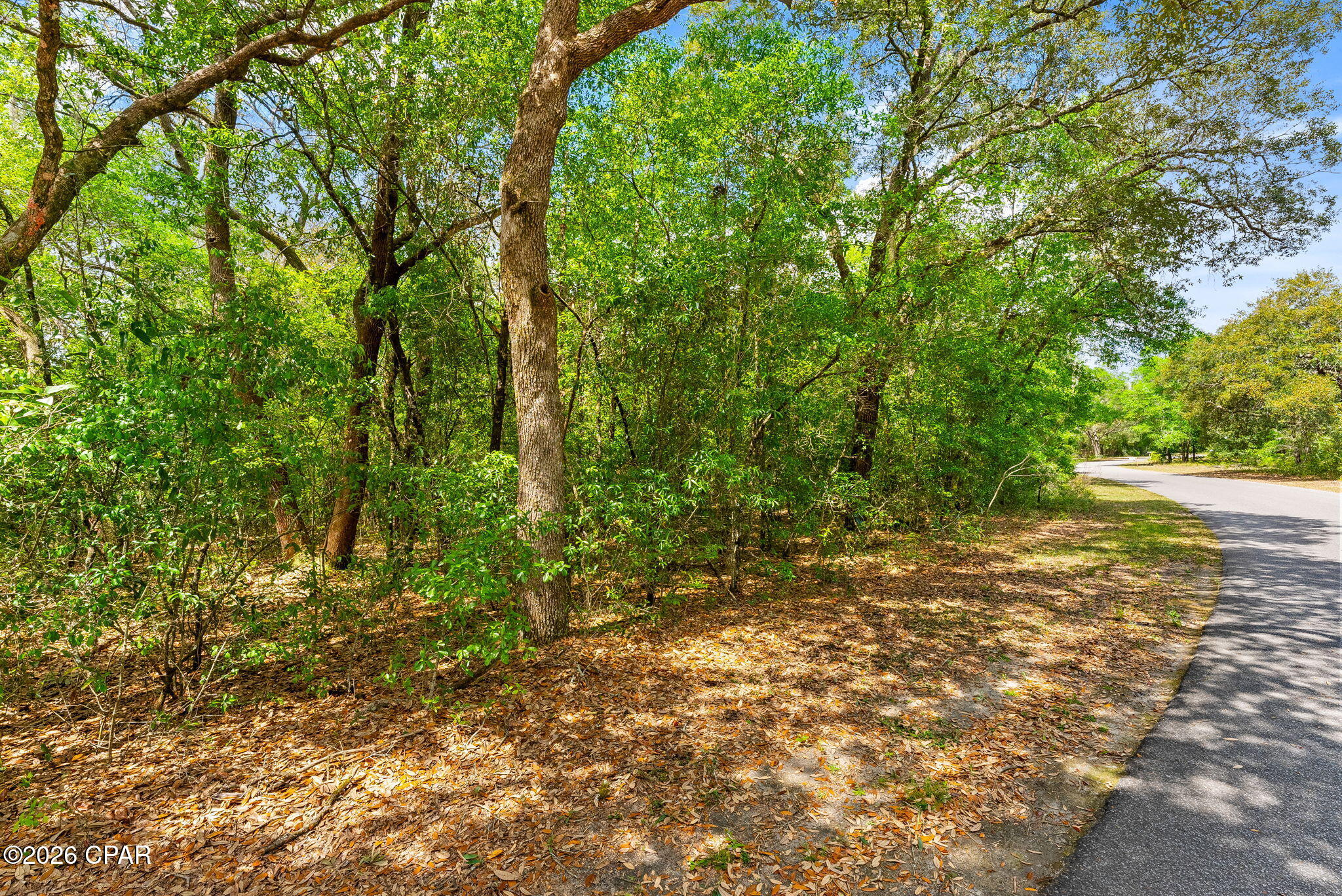 0 Quail Ridge Drive Chipley, FL 32428 - Photo 15 of 22