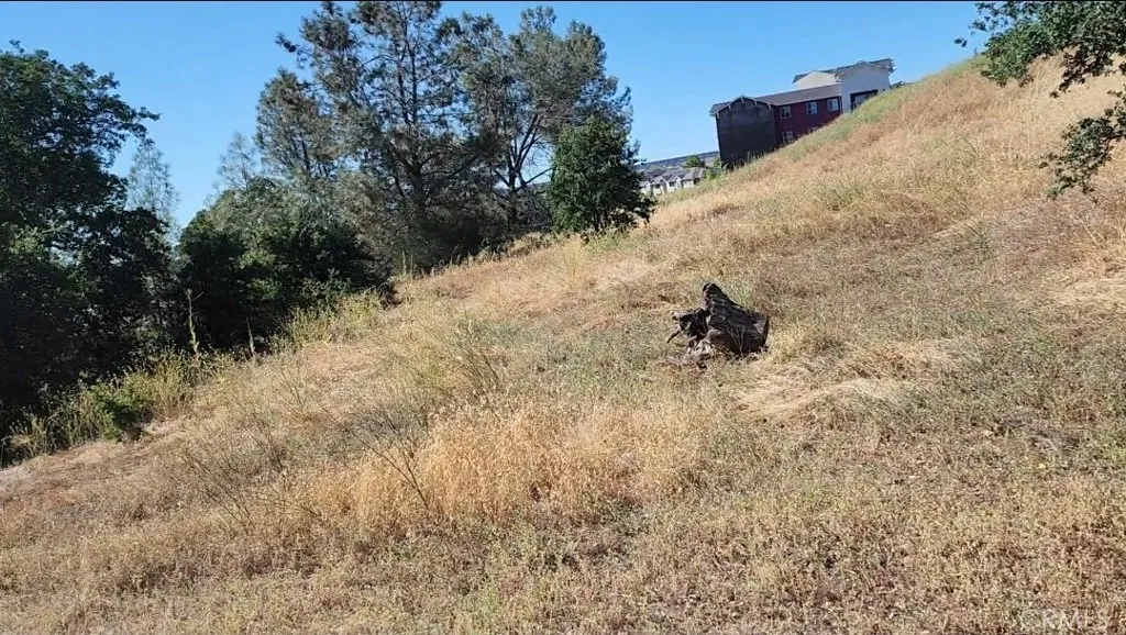 0 Foothill Oroville, CA 95966 - Photo 35 of 53 a view of a dry yard
