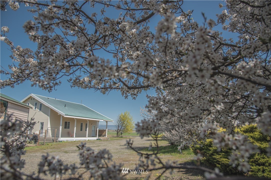 5330 Sorenson Road Ellensburg, WA 98926 - Photo 3 of 25 Gallery Image 3