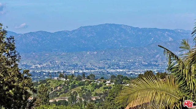 a view of a backyard with plants and a mountain