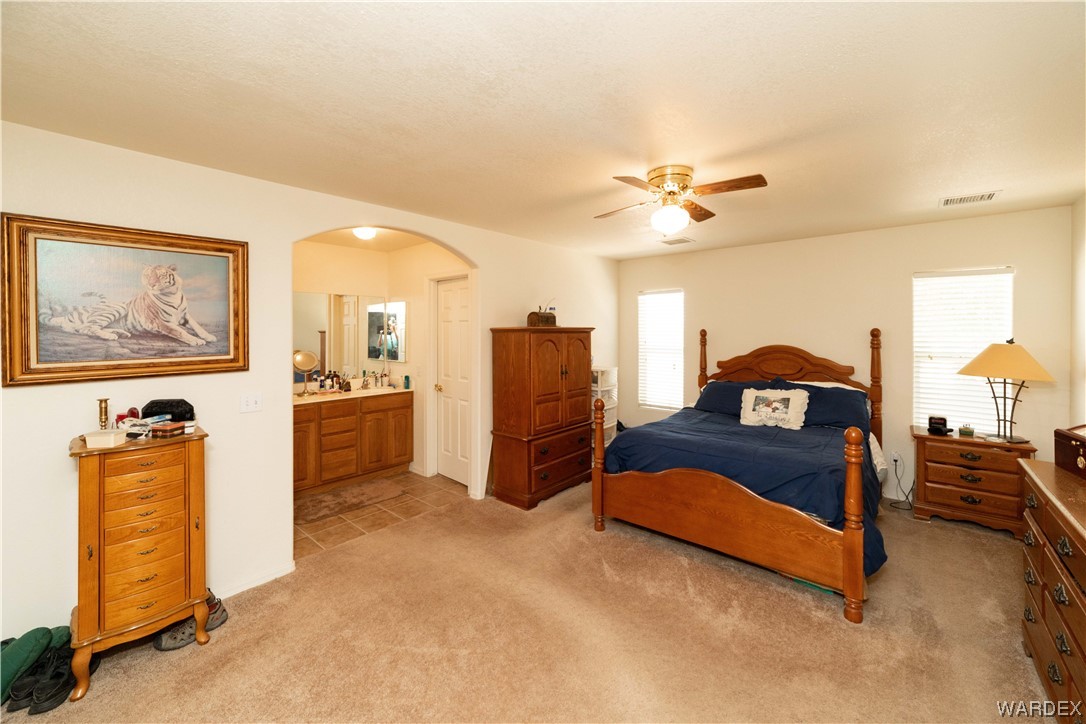 451 South Lochiel Road Golden Valley, AZ 86413 - Photo 18 of 50 Gallery Image 18