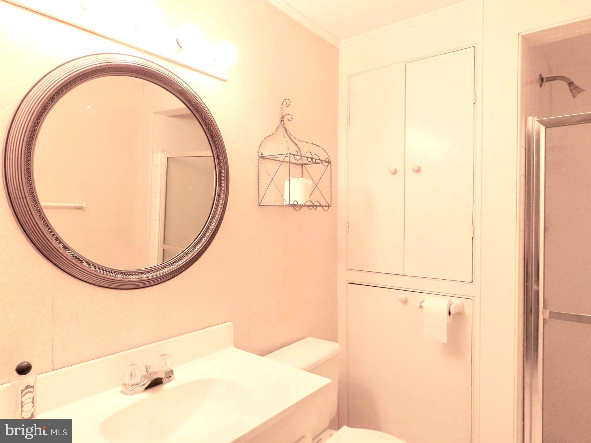 419 Rudasill Mill Road Woodville, VA 22749 - Photo 39 of 48 Full shower bath