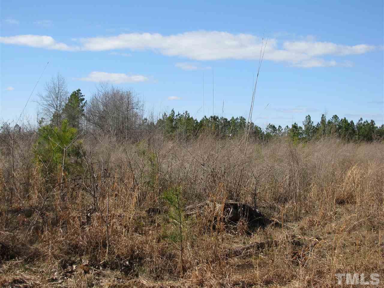 Nicholson Road Macon, NC 27551 - Photo 3 of 7 Gallery Image 3