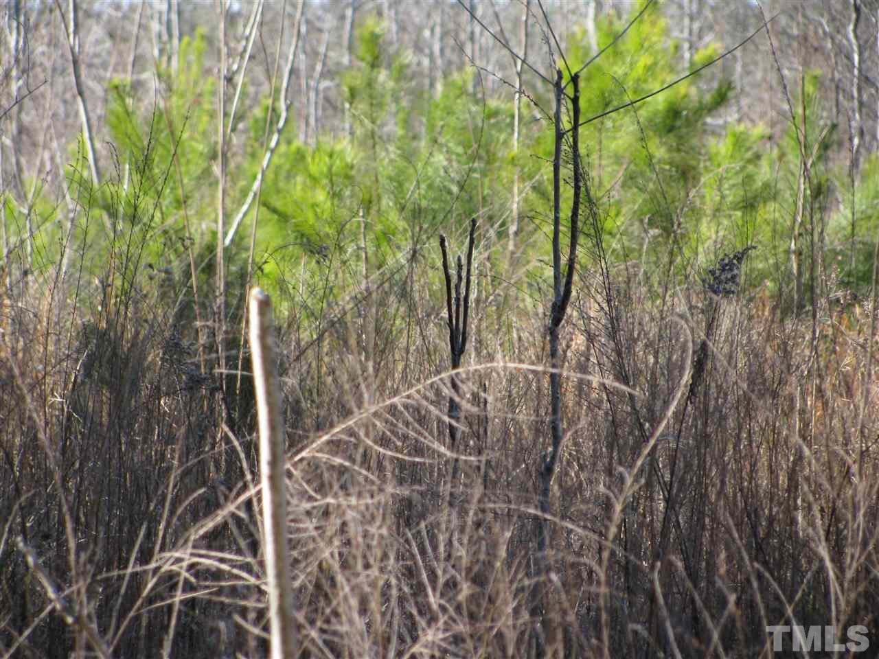Nicholson Road Macon, NC 27551 - Photo 5 of 7 Gallery Image 5