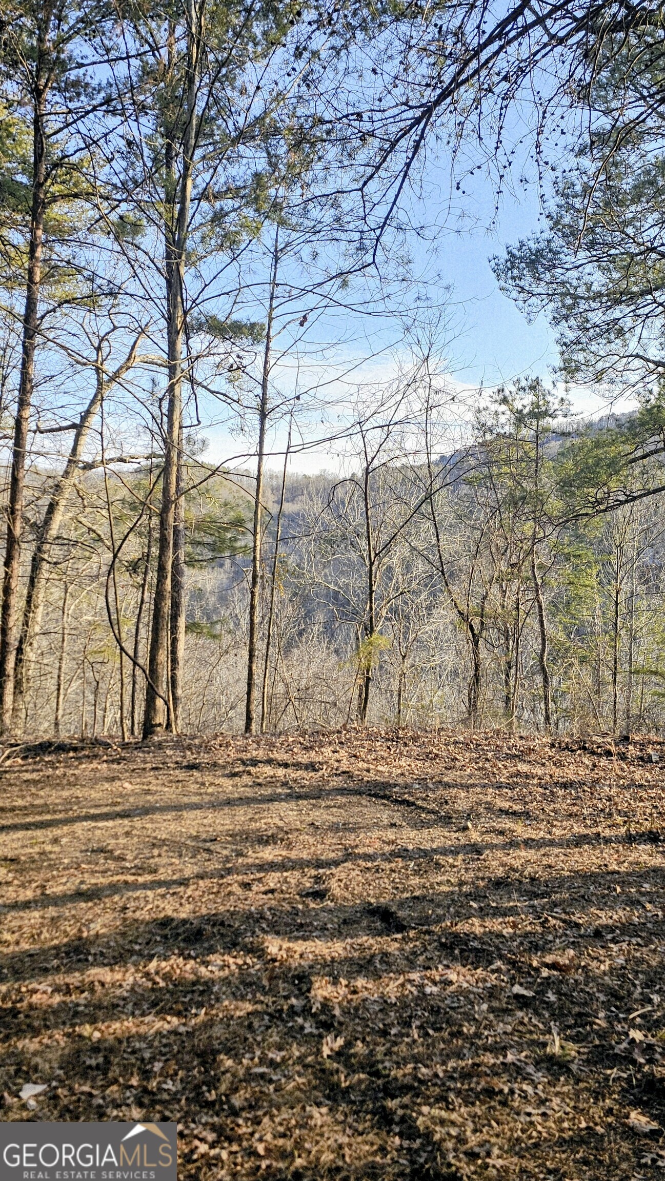 137 Abe Court Ranger, GA 30734 - Photo 1 of 15 a view of ocean view