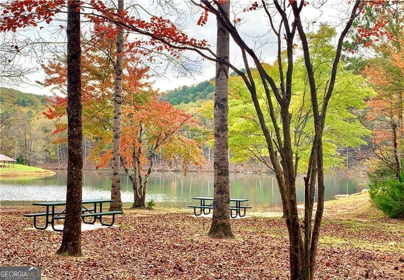 137 Abe Court Ranger, GA 30734 - Photo 13 of 15 a tree in the middle of a yard