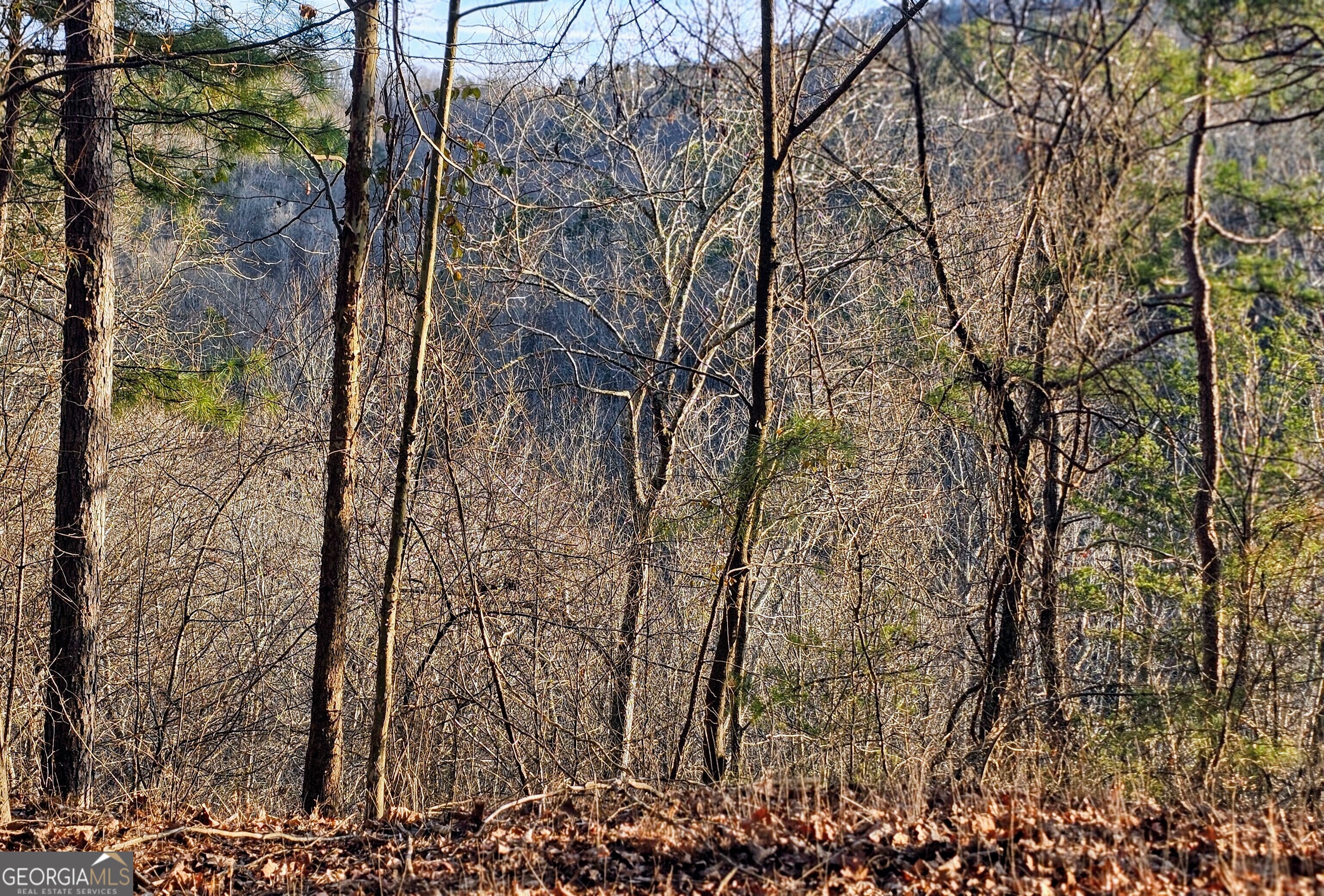137 Abe Court Ranger, GA 30734 - Photo 14 of 15 a view of a yard