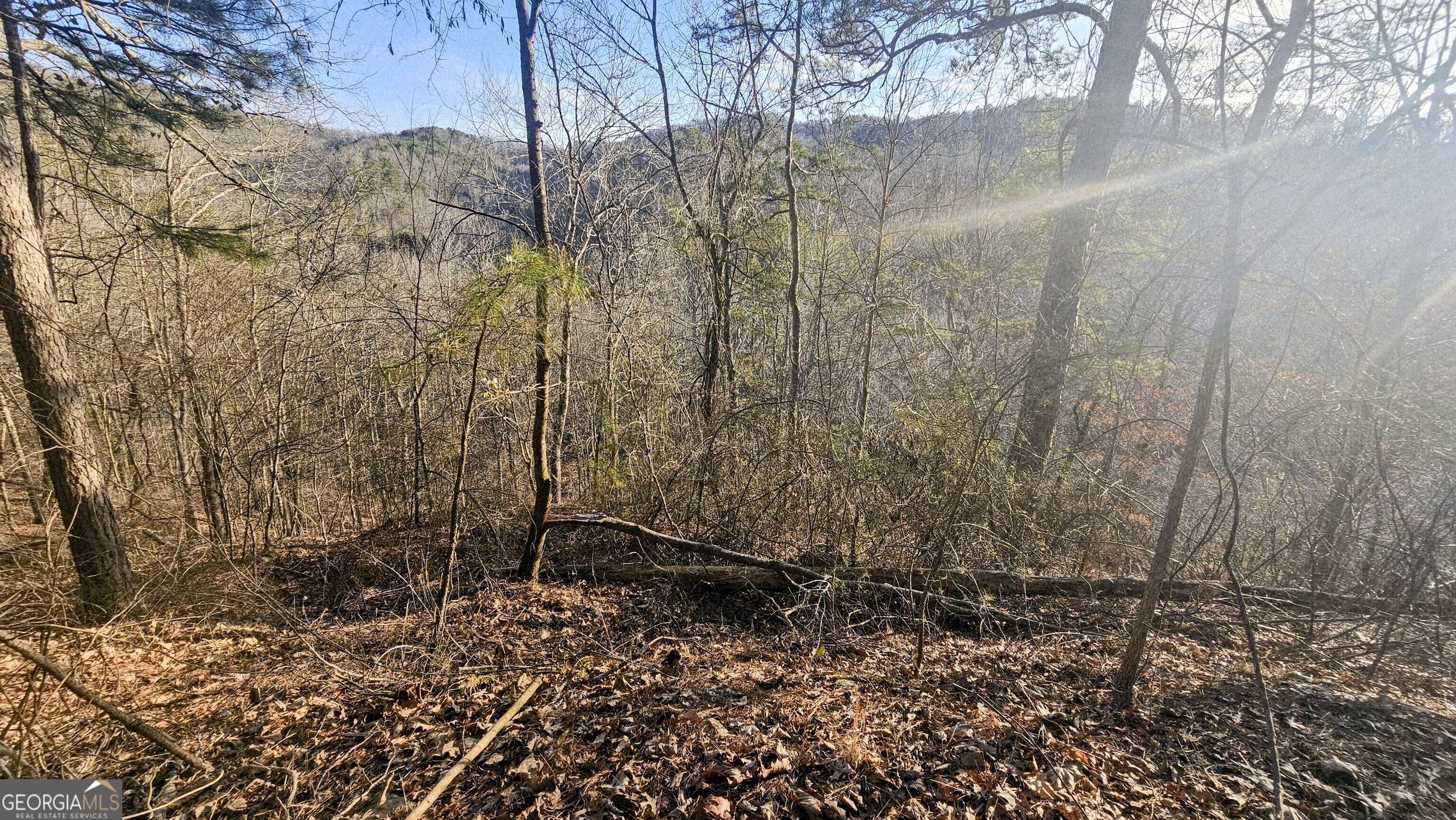 137 Abe Court Ranger, GA 30734 - Photo 15 of 15 a view of a backyard of the house