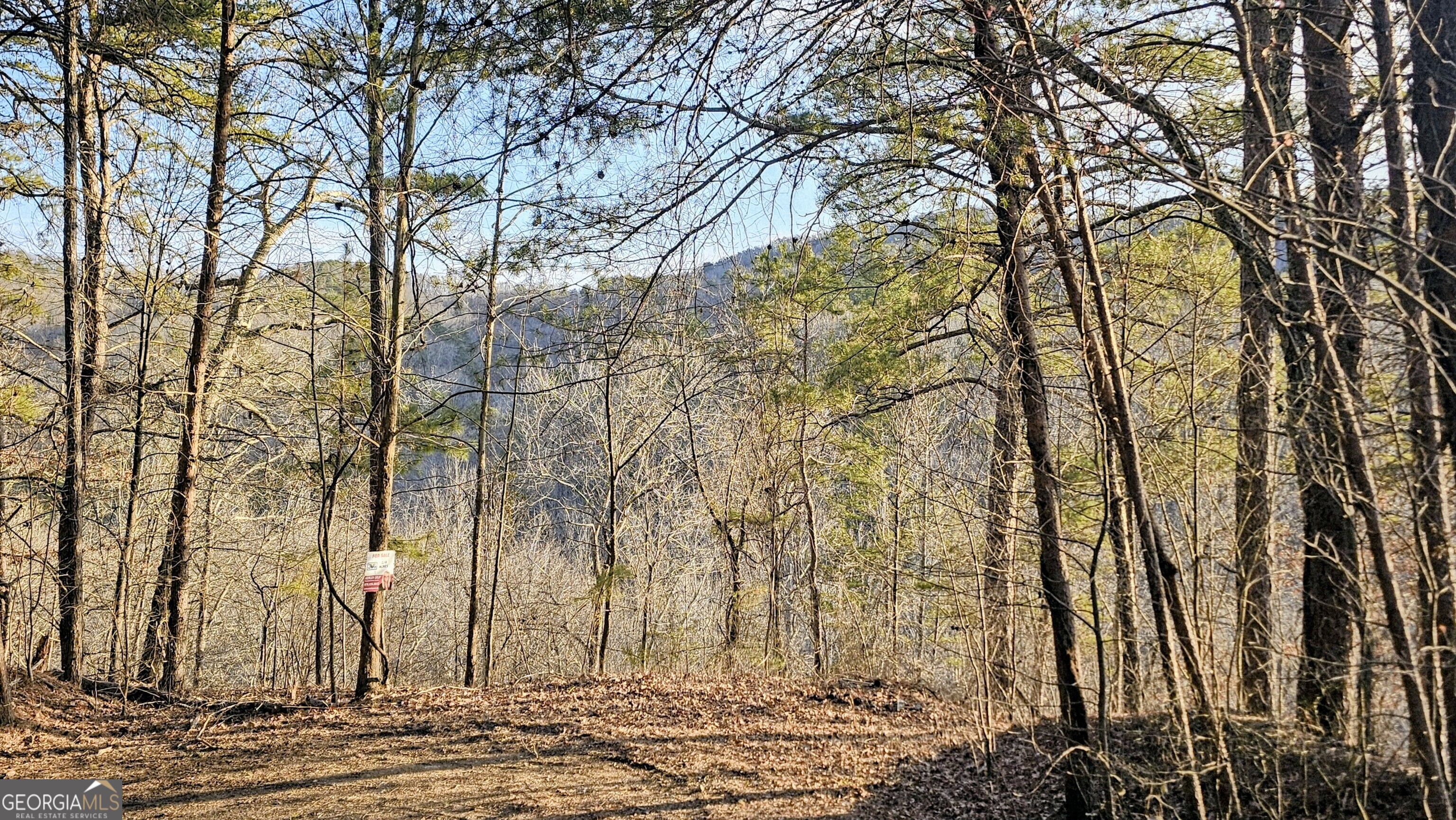 137 Abe Court Ranger, GA 30734 - Photo 2 of 15 a view of a backyard of the house