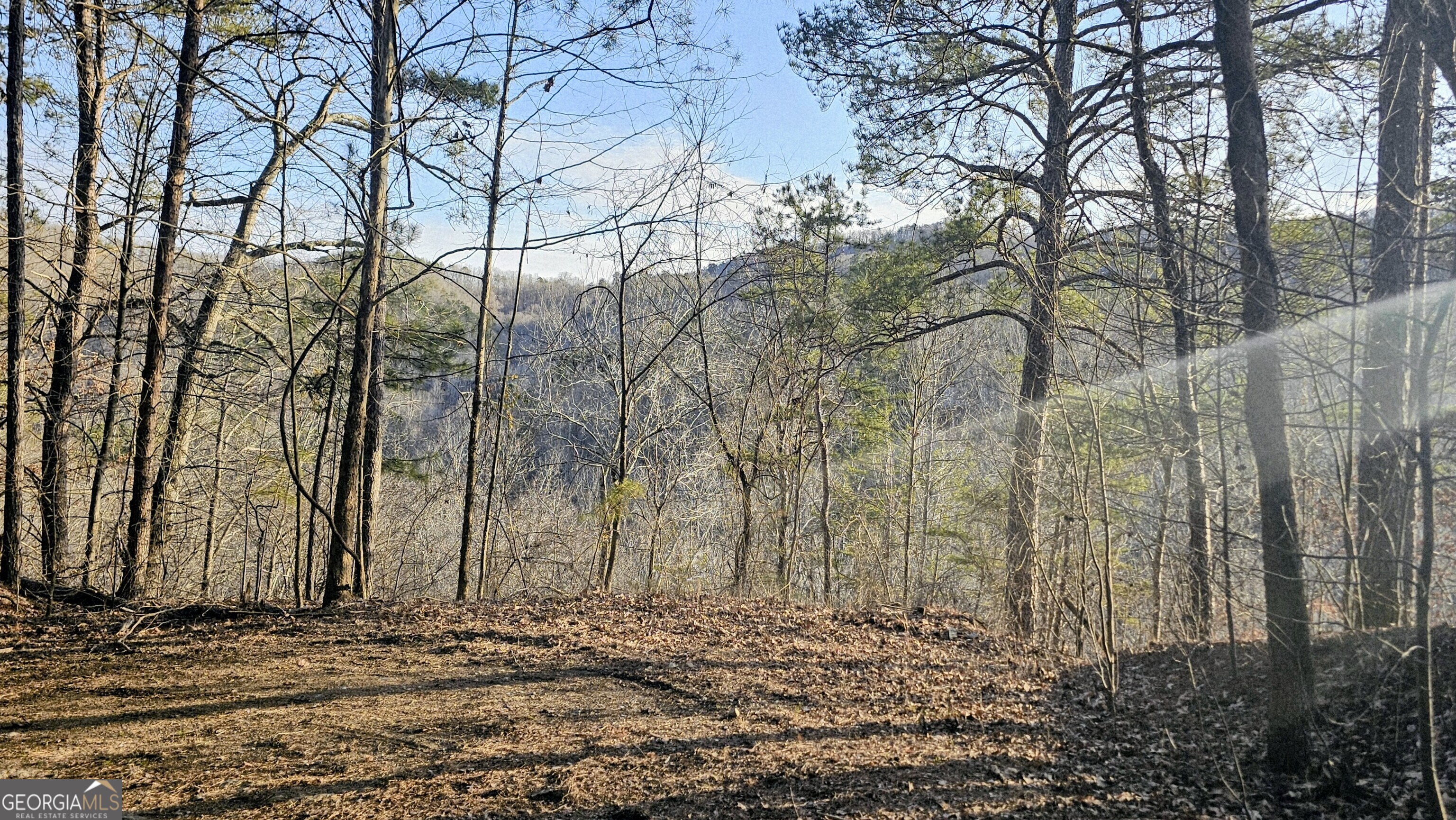 137 Abe Court Ranger, GA 30734 - Photo 5 of 15 a view of a backyard of the house
