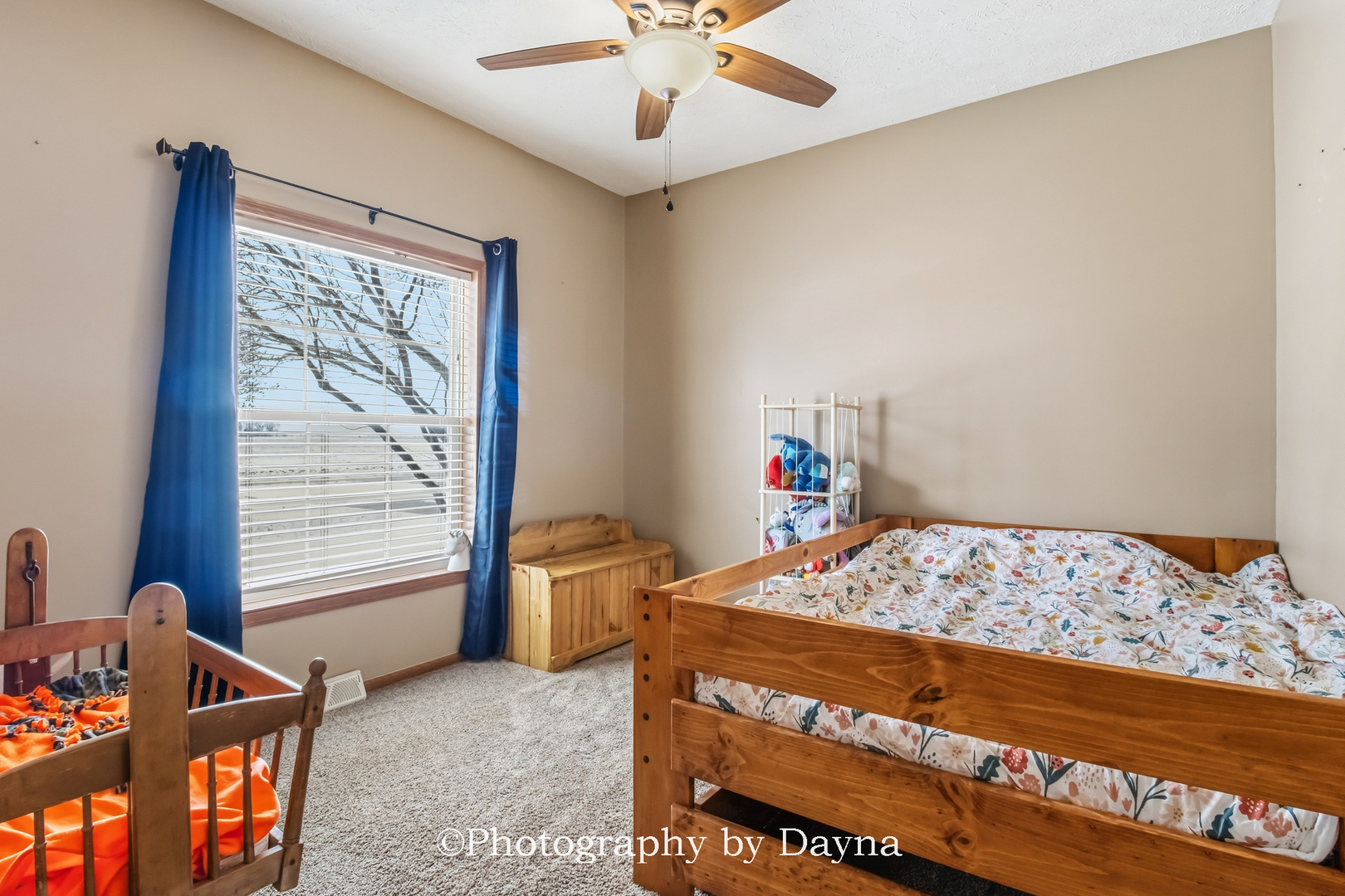 321 South Maple Street Buckingham, IL 60917 - Photo 19 of 32