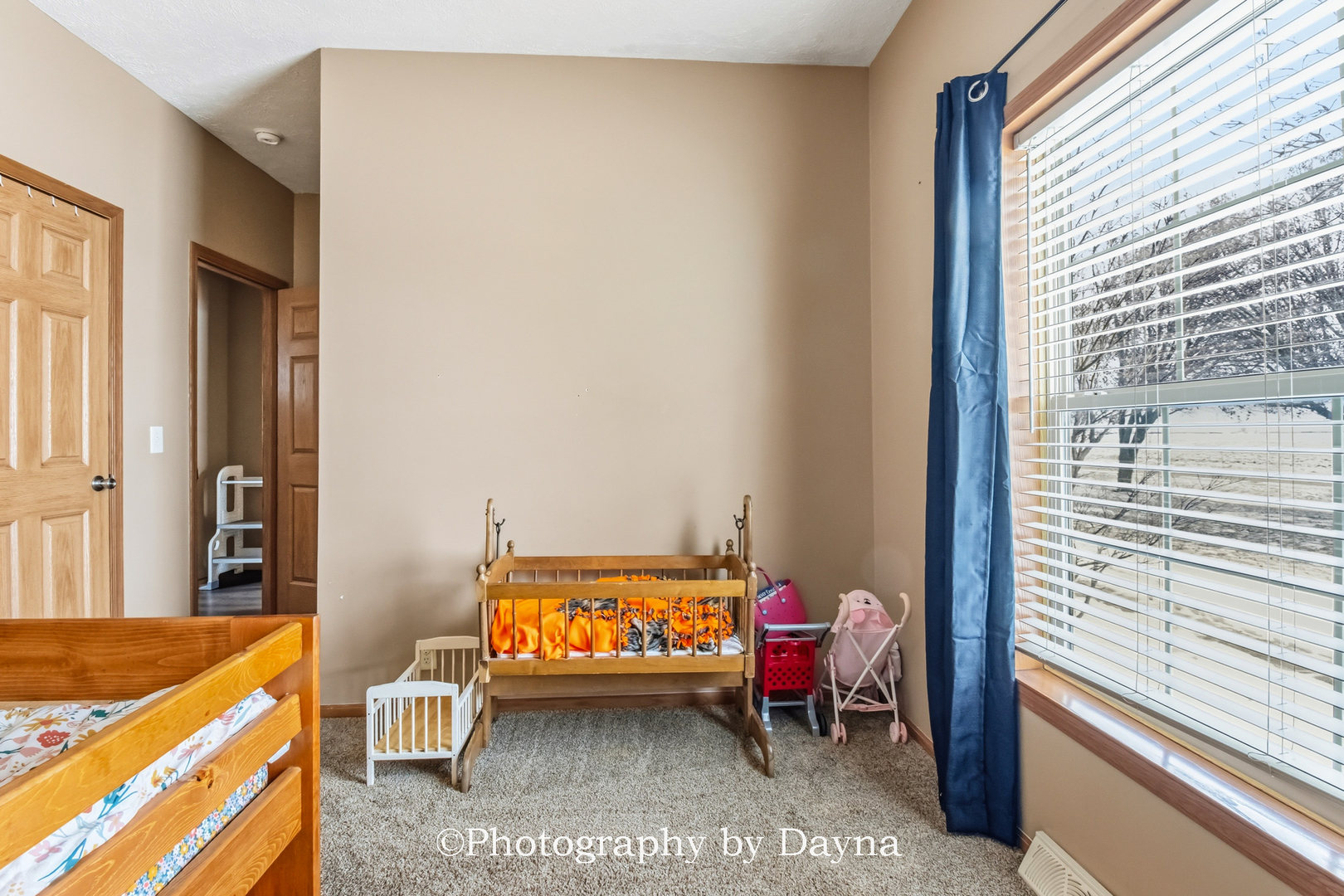 321 South Maple Street Buckingham, IL 60917 - Photo 20 of 32