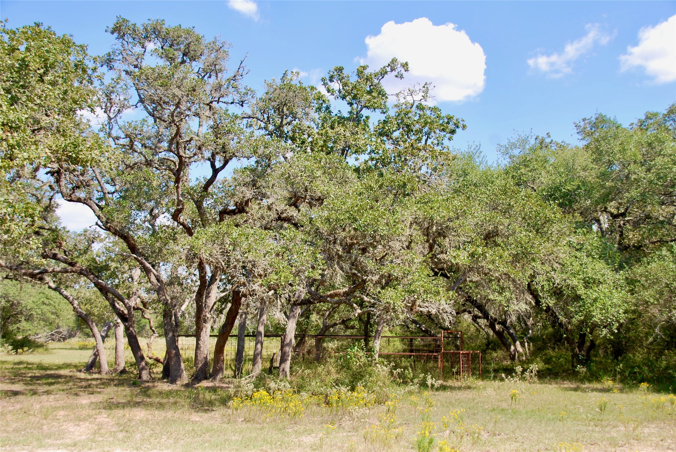 3033 County Road 18 Hallettsville, TX 77964 - Photo 38 of 50