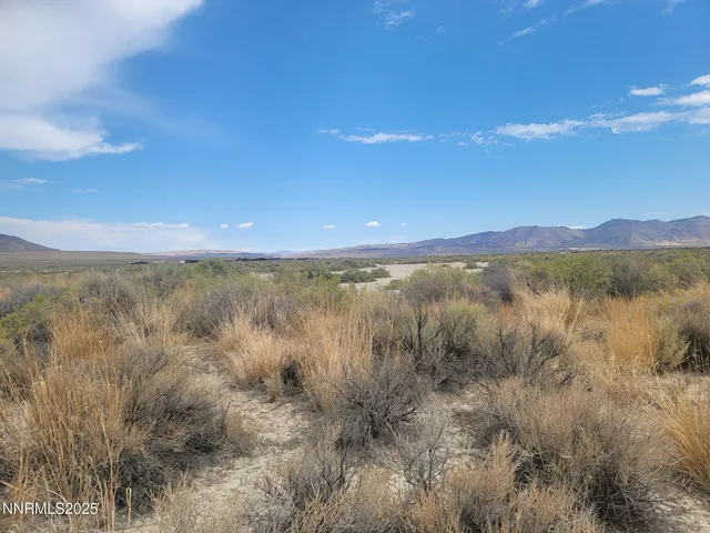 a view of a lake in middle of a field