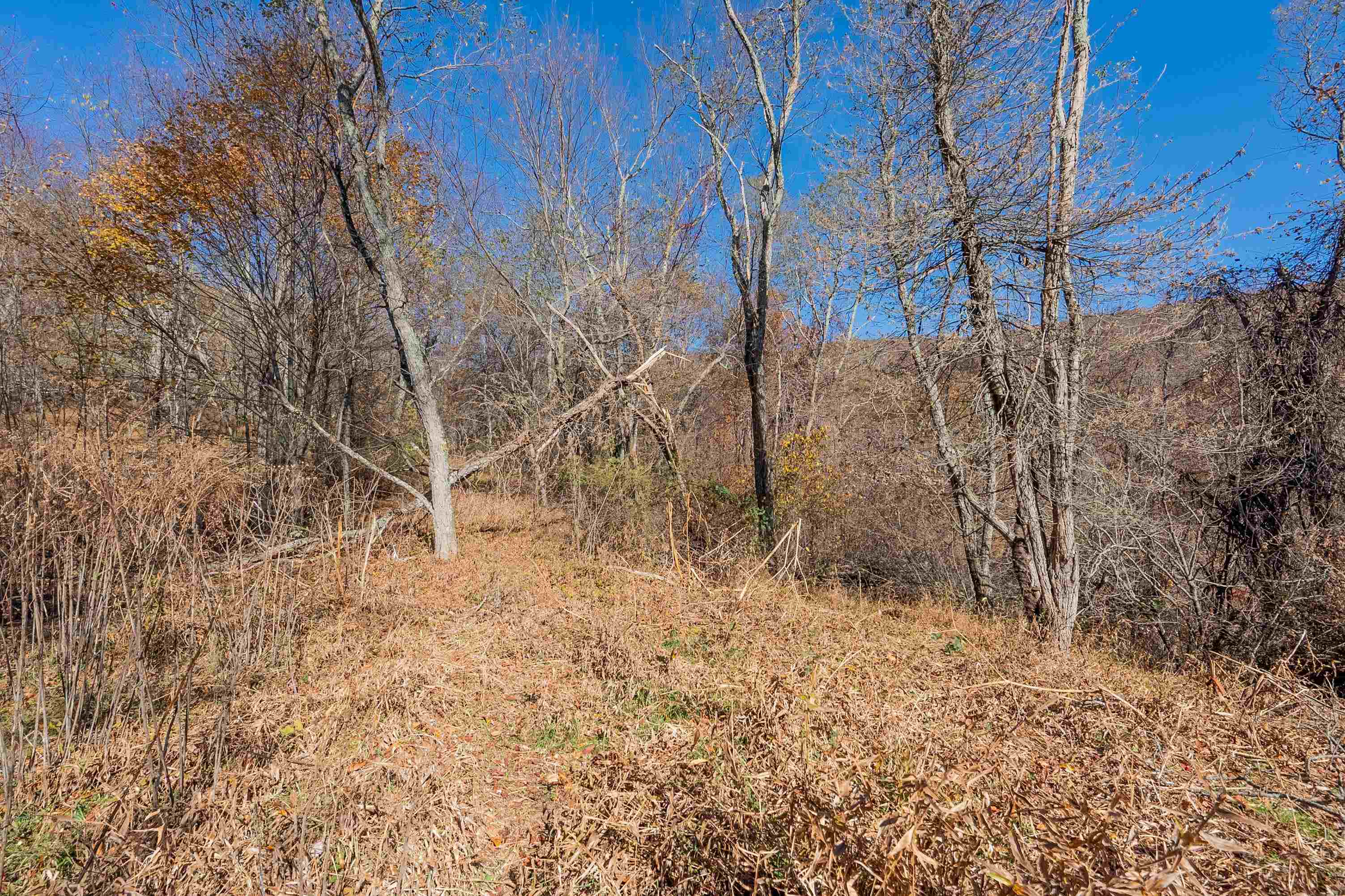 Tbd Point Lookout Lane Independence, VA 24348 - Photo 27 of 36 Gallery Image 27