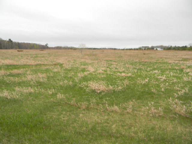 Tract A Timberline Road Ellison Bay, WI 54210 - Photo 1 of 1