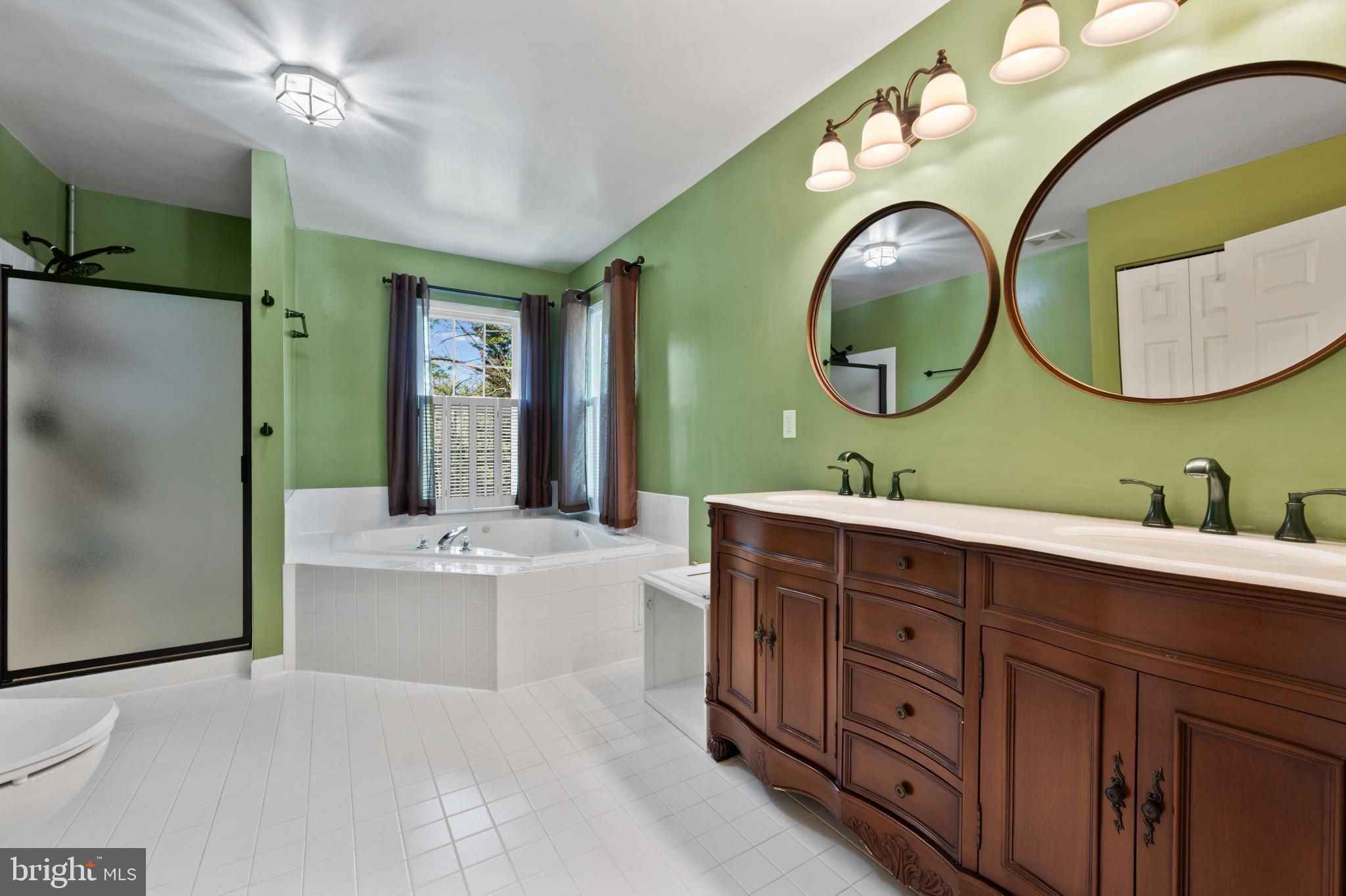 9254 Cartersville Road Columbia, MD 21046 - Photo 4 of 29 Primary bathroom