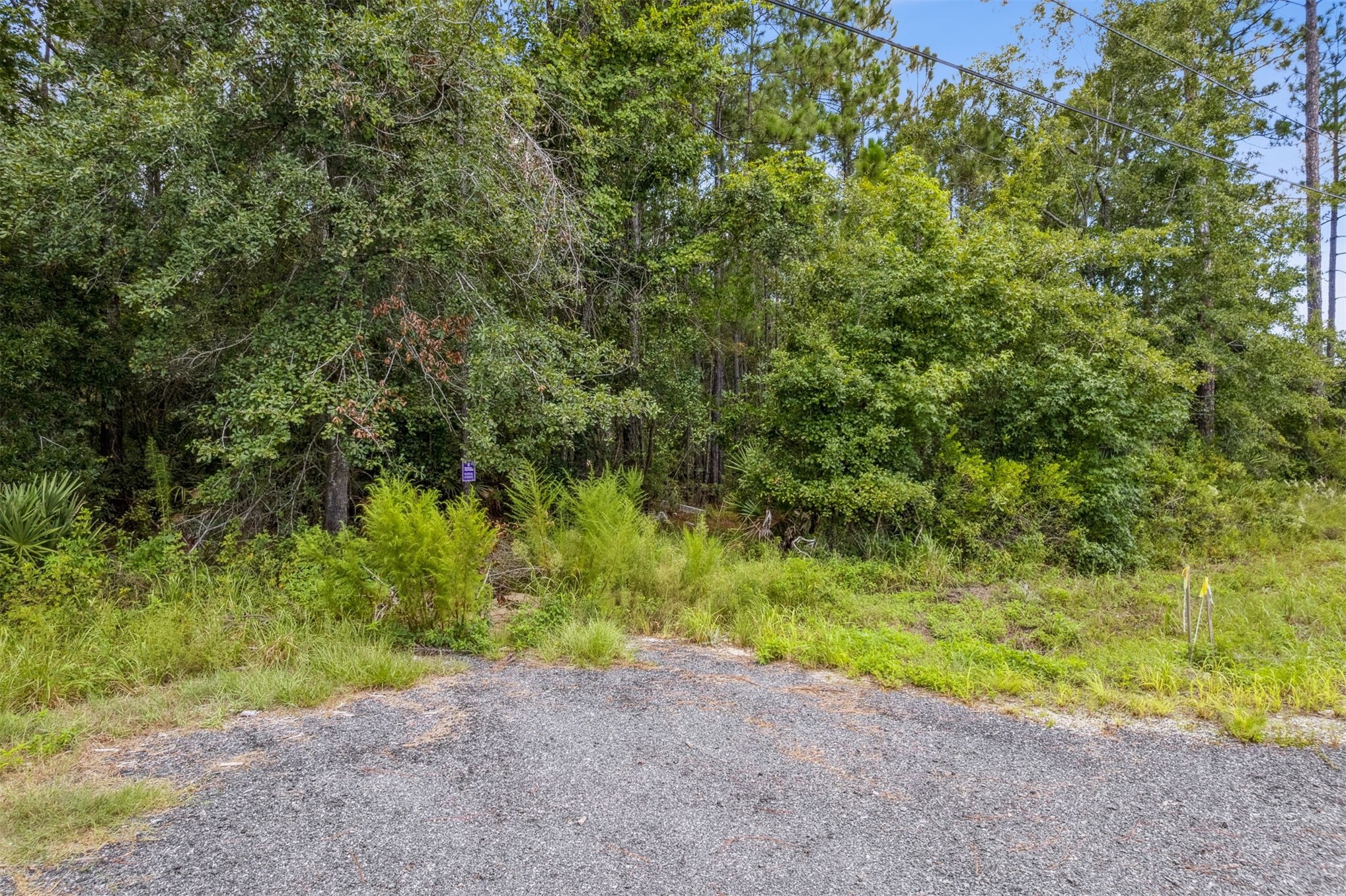 -sr 107 And Frank Ward Road Fernandina Beach, FL 32034 - Photo 2 of 16 Gallery Image 2