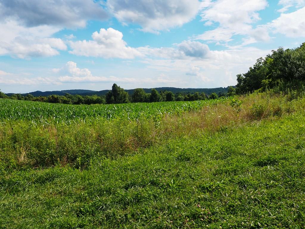 Tbd State Shed Road, Unit 99 Meadows Of Dan, VA 24120 - Photo 1 of 14 Gallery Image 1