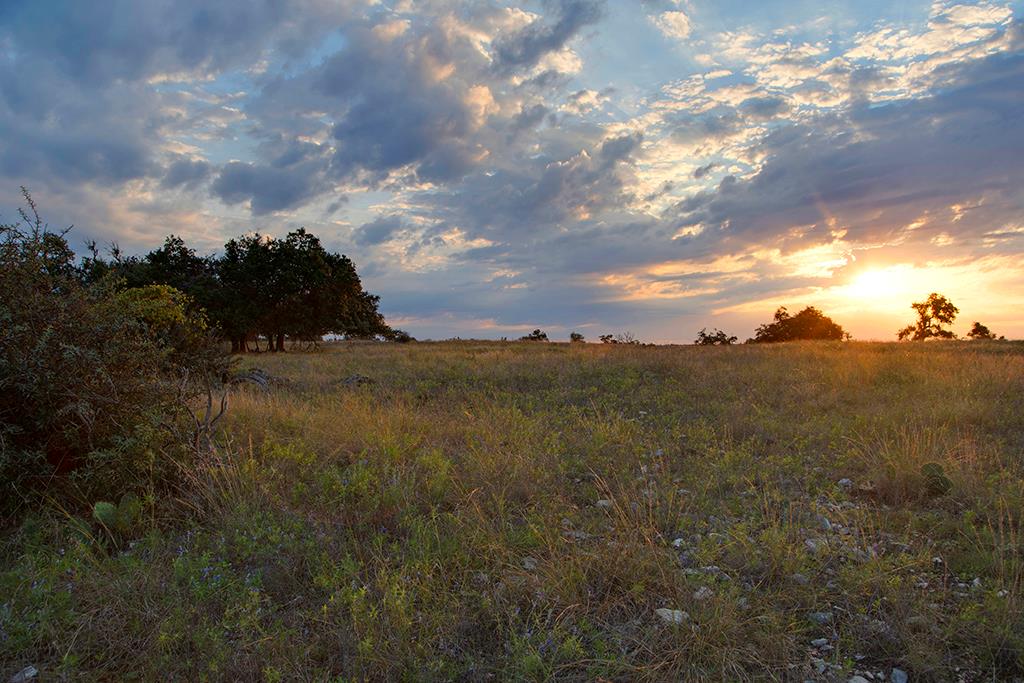 4551 Reeh Road Fredericksburg, TX 78624 - Photo 44 of 69 Gallery Image 44