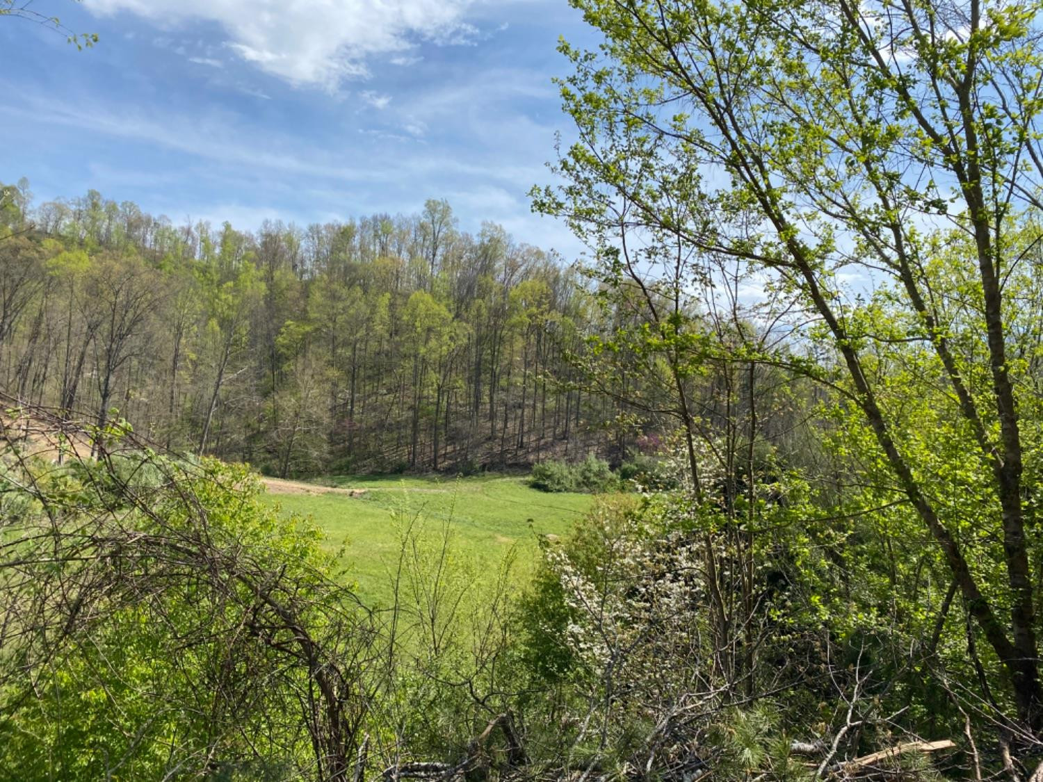 9999 Powell Branch Road Bimble, KY 40915 - Photo 1 of 15 Photo 1