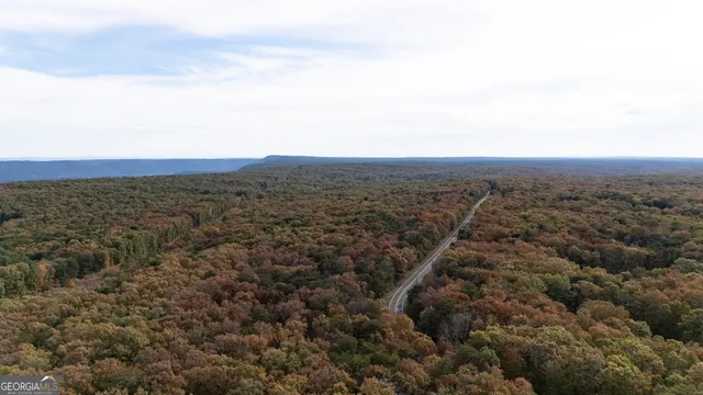 $134,999 | Lot 29-30 Old State Rd 157, Menlo, GA 30731