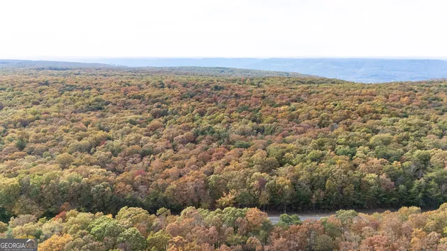 $134,999 | Lot 29-30 Old State Rd 157, Menlo, GA 30731