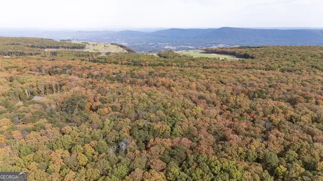 $134,999 | Lot 29-30 Old State Rd 157, Menlo, GA 30731