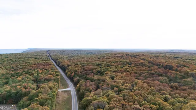 $134,999 | Lot 29-30 Old State Rd 157, Menlo, GA 30731