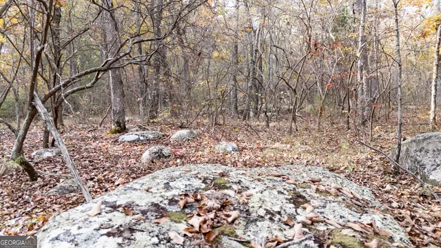 $134,999 | Lot 29-30 Old State Rd 157, Menlo, GA 30731