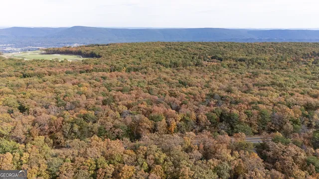 $134,999 | Lot 29-30 Old State Rd 157, Menlo, GA 30731