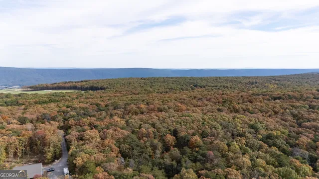 $134,999 | Lot 29-30 Old State Rd 157, Menlo, GA 30731