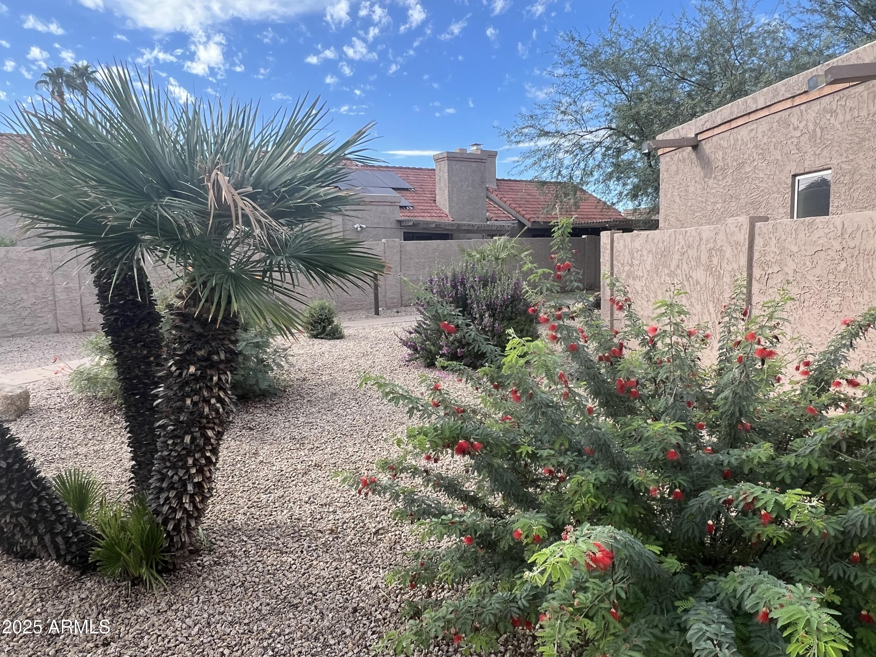 4011 East Charter Oak Road Phoenix, AZ 85032 - Photo 25 of 31 a view of a garden