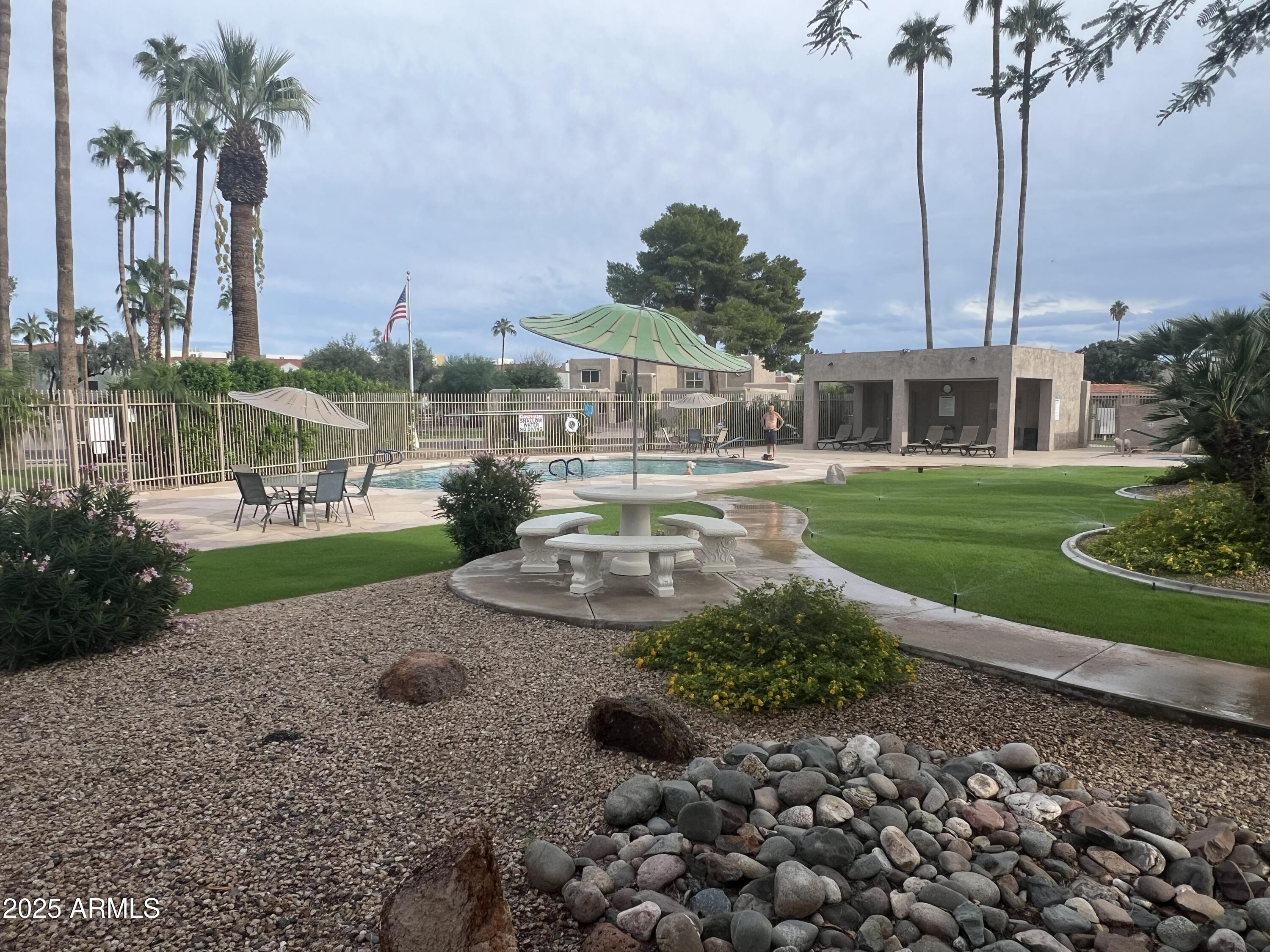 4011 East Charter Oak Road Phoenix, AZ 85032 - Photo 31 of 31 a view of a garden with a tree in front of the house