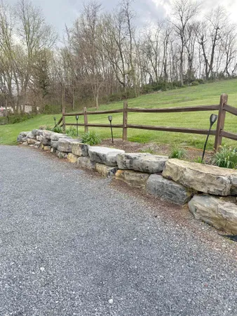 a view of a park with large trees