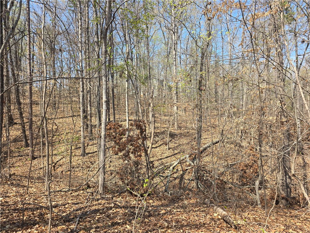 759 Durham Brown Road Seneca, SC 29678 - Photo 2 of 9