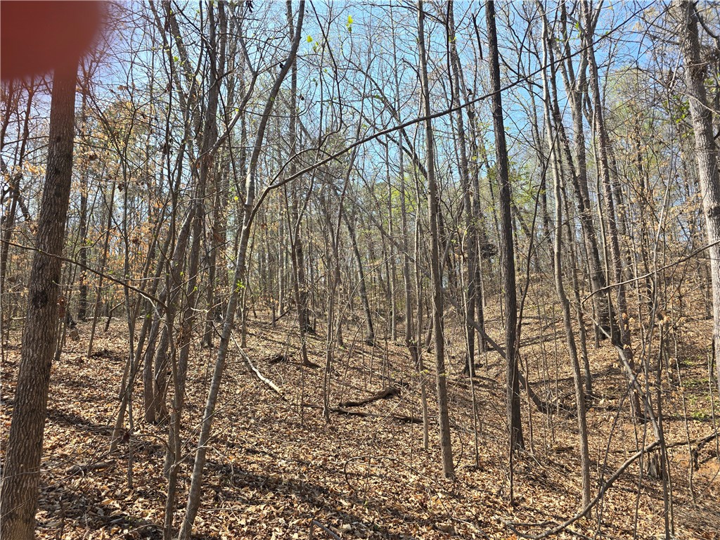 759 Durham Brown Road Seneca, SC 29678 - Photo 5 of 9