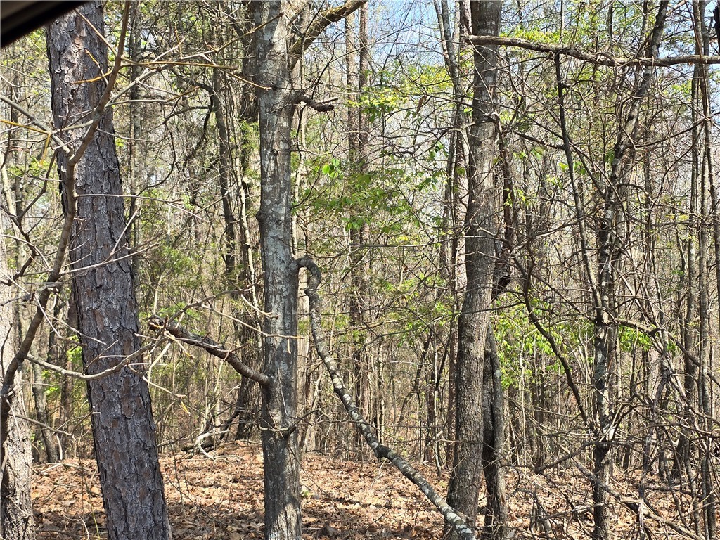 759 Durham Brown Road Seneca, SC 29678 - Photo 6 of 9