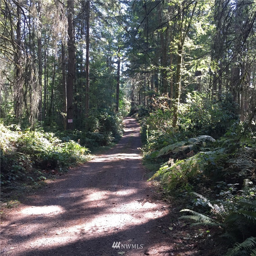 0 Southeast Phillips Rd Port Orchard Port Orchard, WA 98367 - Photo 3 of 5 Gallery Image 3