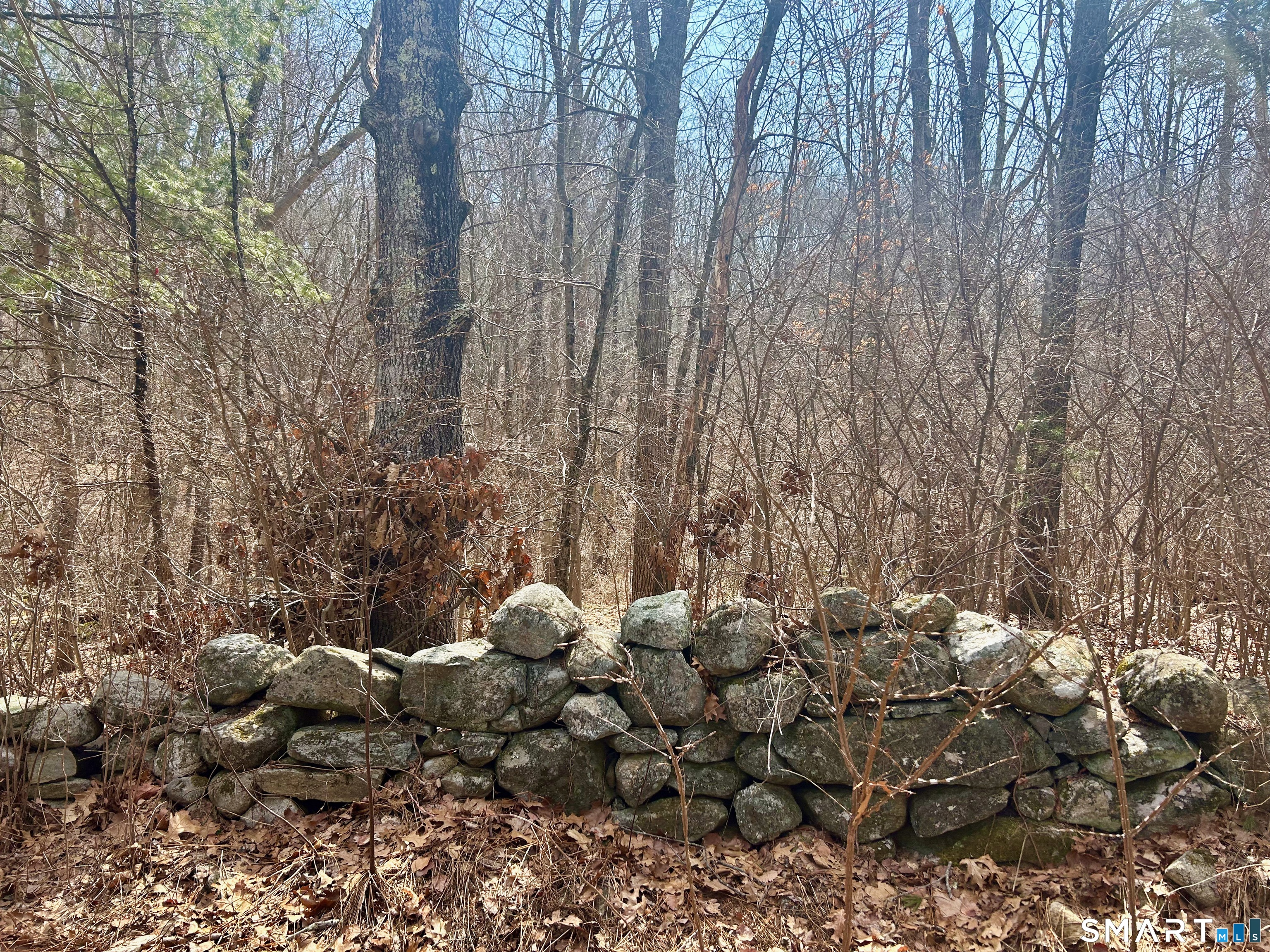Reilly Road Hampton, CT 06247 - Photo 4 of 8