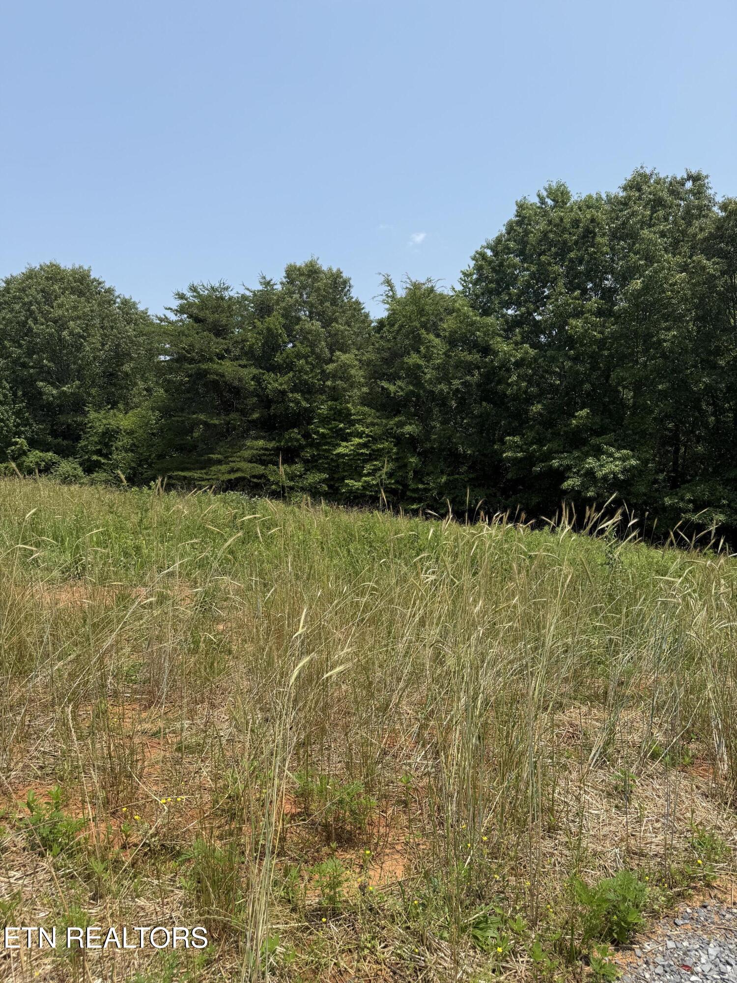 2885 Norcross Road Maryville, TN 37803 - Photo 3 of 27 The View on Norcross